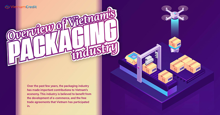 Overview of Vietnam’s packaging industry